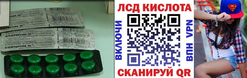 Купить закладки  Гдов  ЛСД экстази кислота 