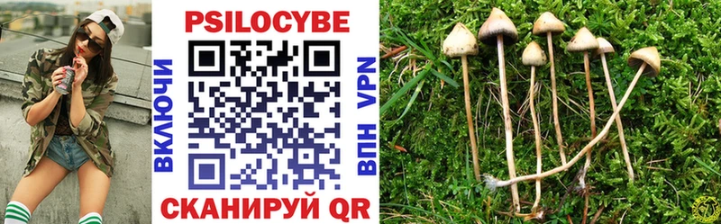 Галлюциногенные грибы ЛСД  Купить где  Гдов 
